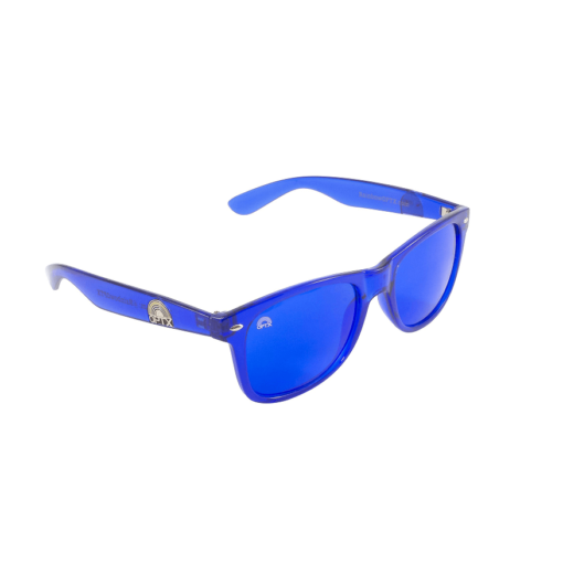 Rainbow OPTX Translucent Glasses Blue
